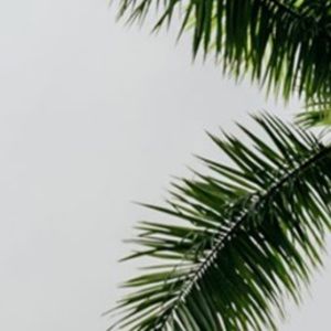 Meet your Posher, Lucienne